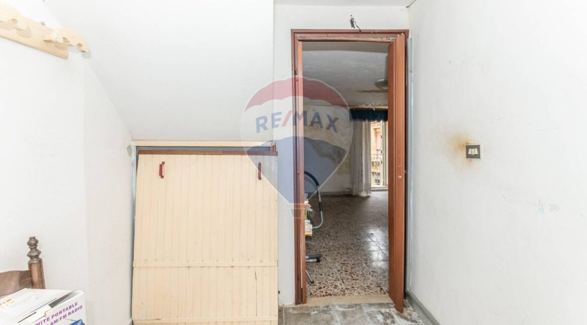 ALP038- (2)