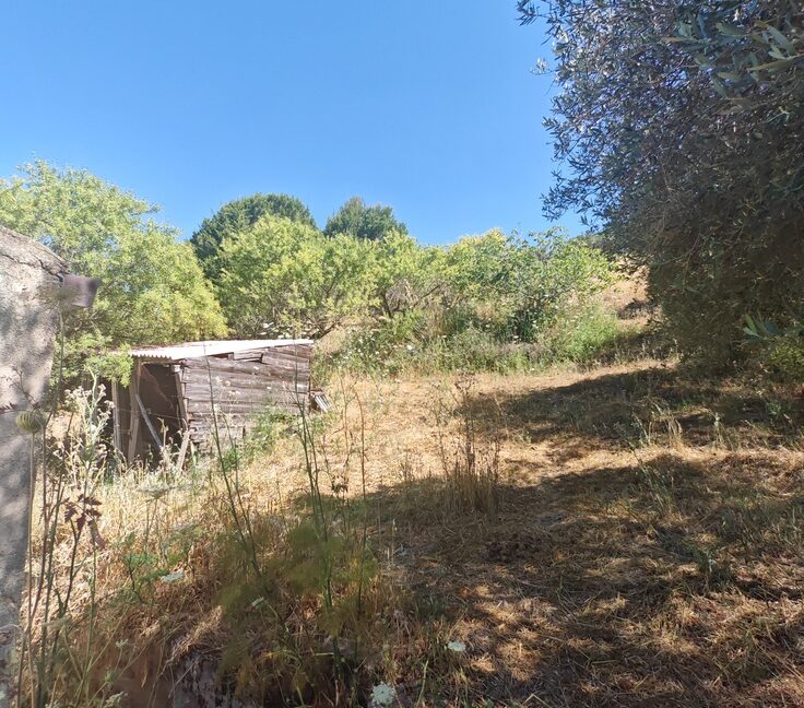 ALP102- (17)